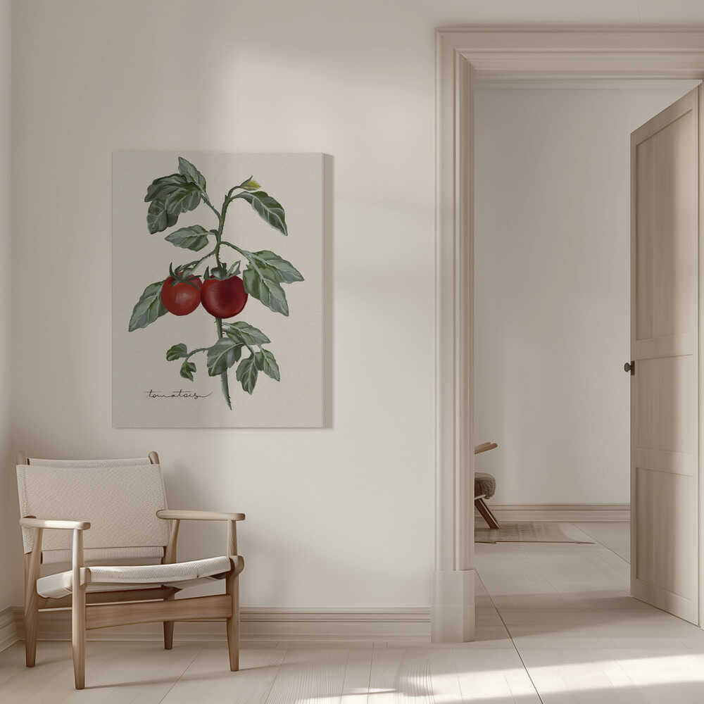 Jardin vintage | Toile