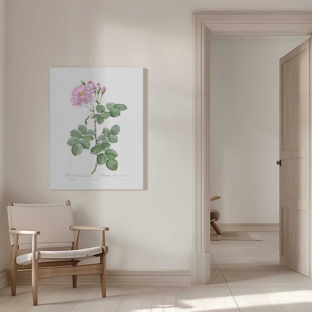 Aurore Poniatowska, Les Roses (1817–1824) | Toile