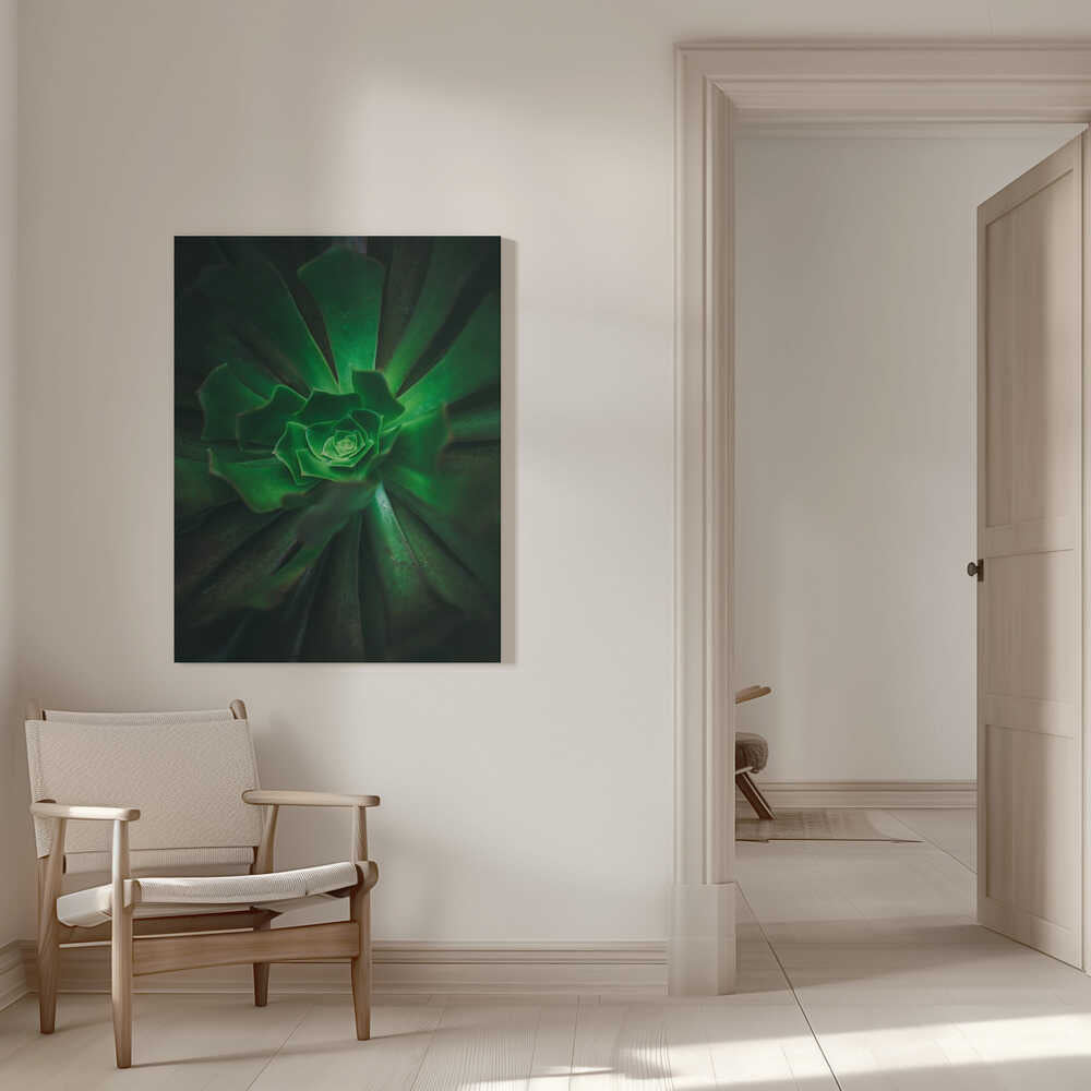 Grüne Spiralblüte | Leinwand