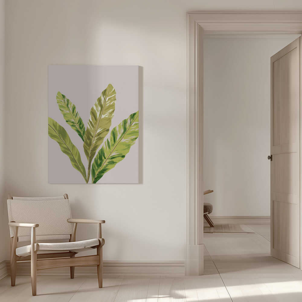 Helecho Art | Leinwand