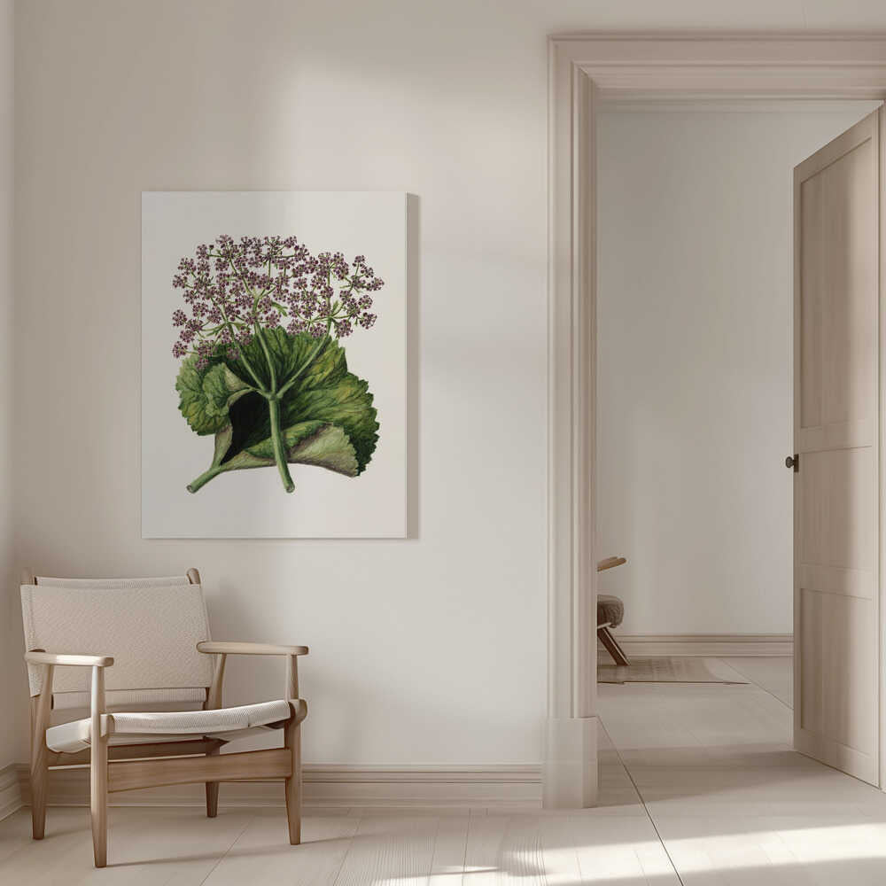 Antike Pflanze II, gezeichnet von Sarah Featon (1848–1927) | Leinwand