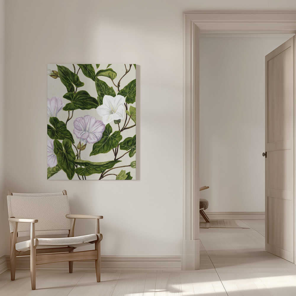 Liseron Pohu De Sarah Featon (1848–1927) | Toile