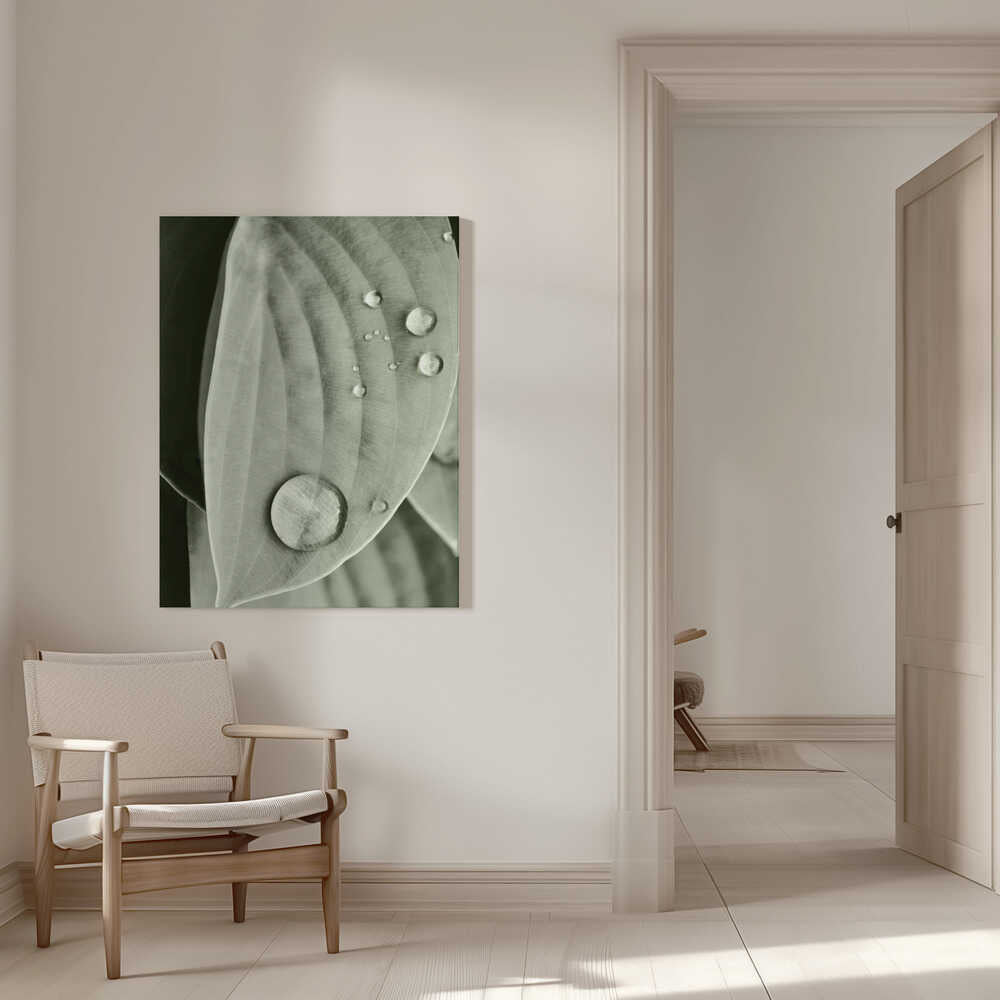 Eleganz wie Tau auf Blättern | Leinwand