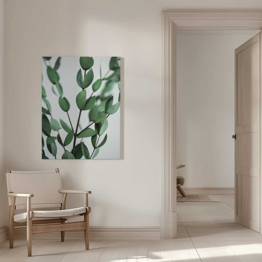 Eukalyptuszweige | Leinwand