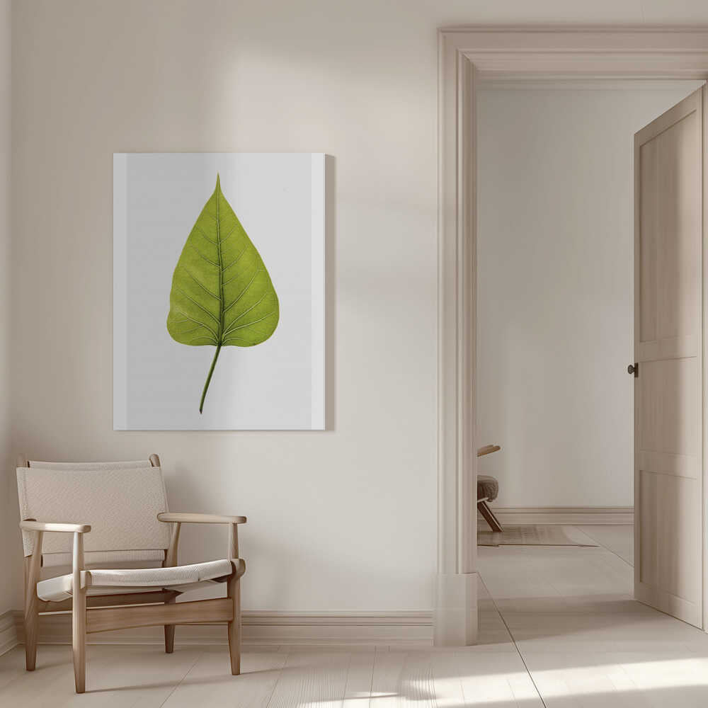 Einzelnes grünes Blatt mit filigranem Adernmuster | Leinwand