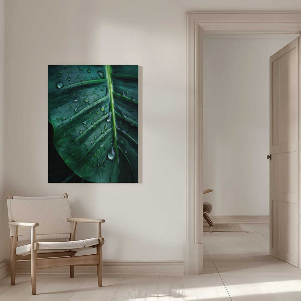 Feuille caressée par la pluie | Toile