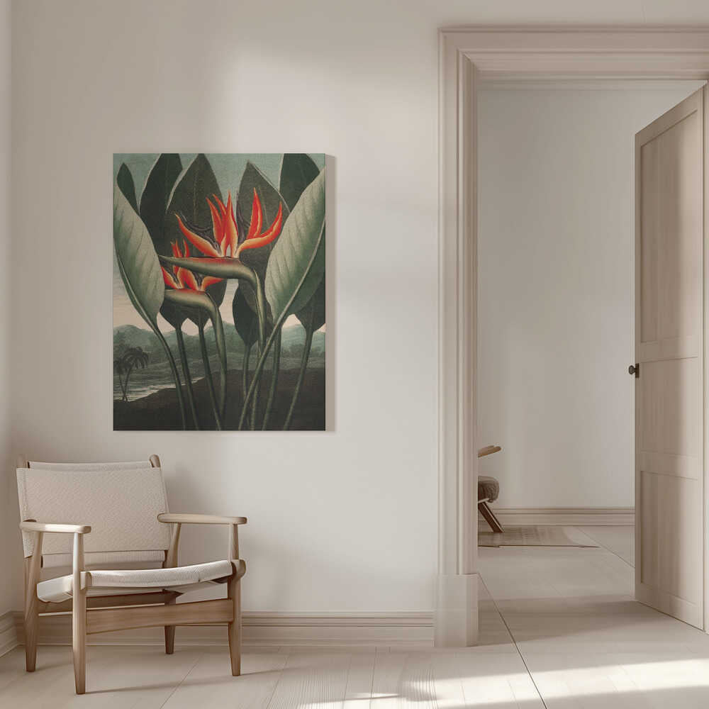 La Reine-Plante du Temple de Flore (1807) | Toile