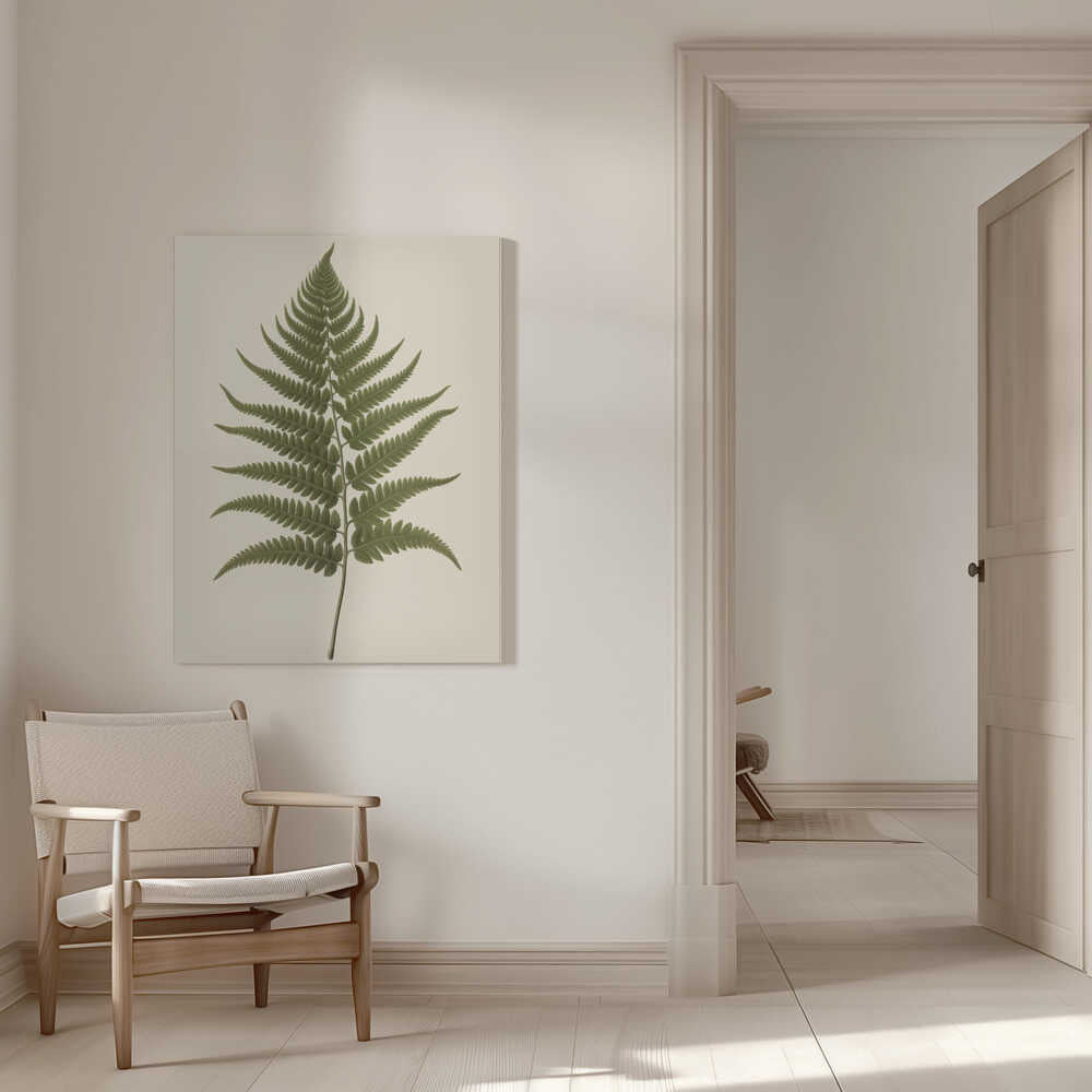 Dryopteris Filix Mas | Toile