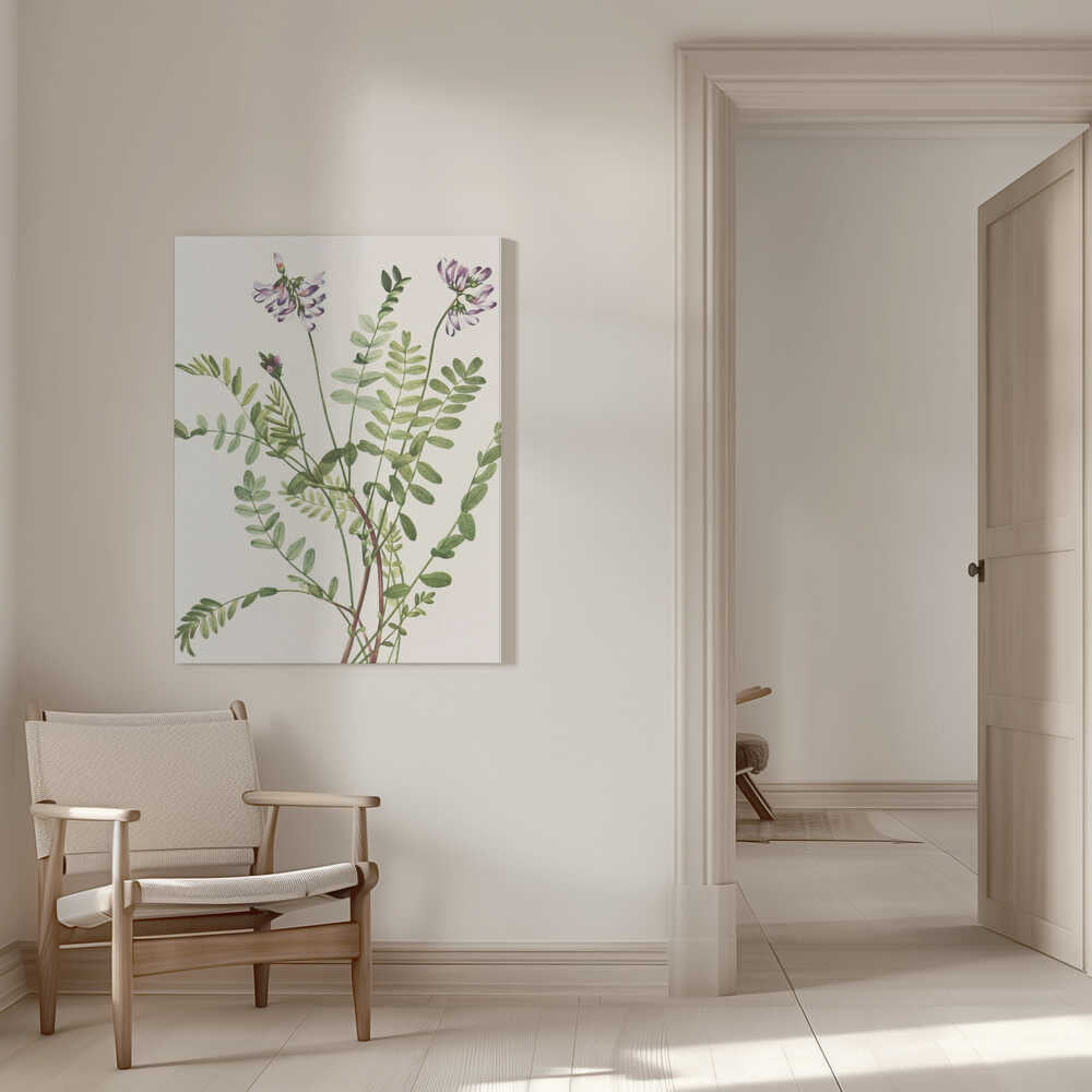 Alpen-Tragant aus „Nordamerikanische Wildblumen“ (1925) von Mary Vaux Walcott | Leinwand