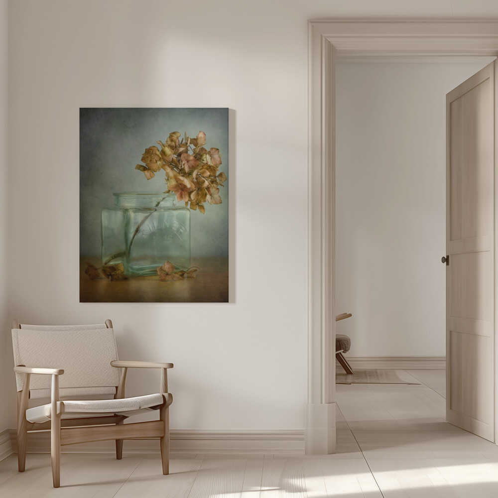 Hortensie | Leinwand