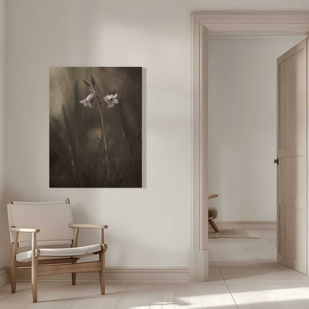 A small flower on the ground | Canvas