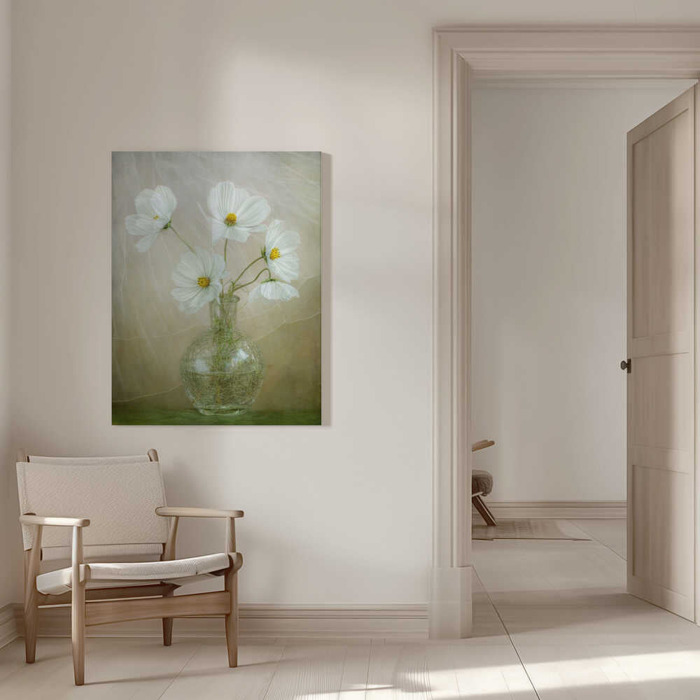 Cosmos breeze | Canvas