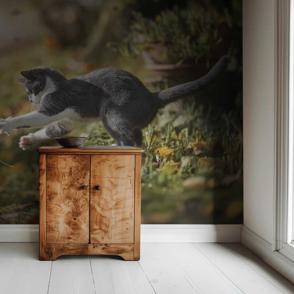 Jeu d'automne | Fond d'écran