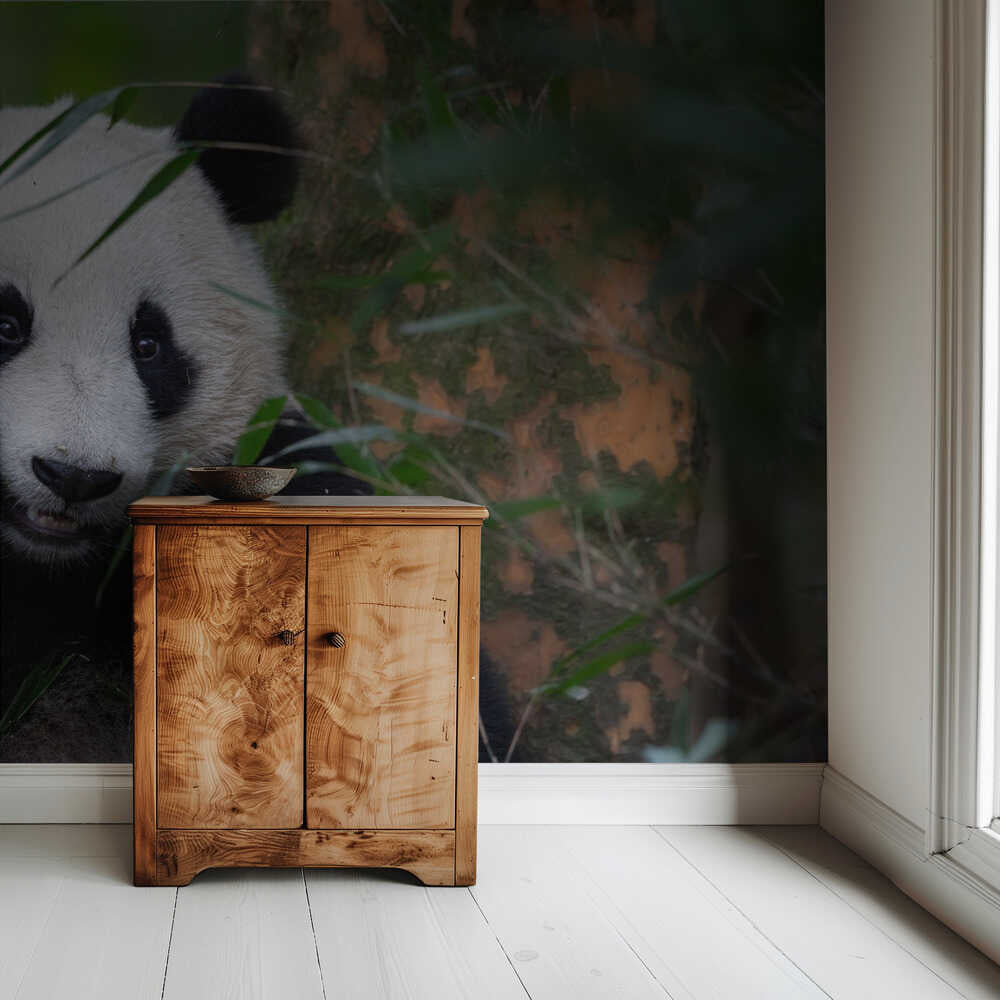 Bambuszeit | Hintergrundbild