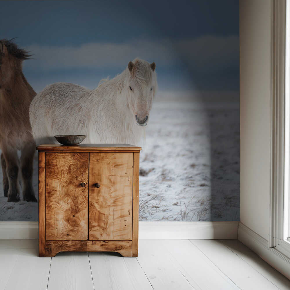 FRÈRES | Fond d'écran