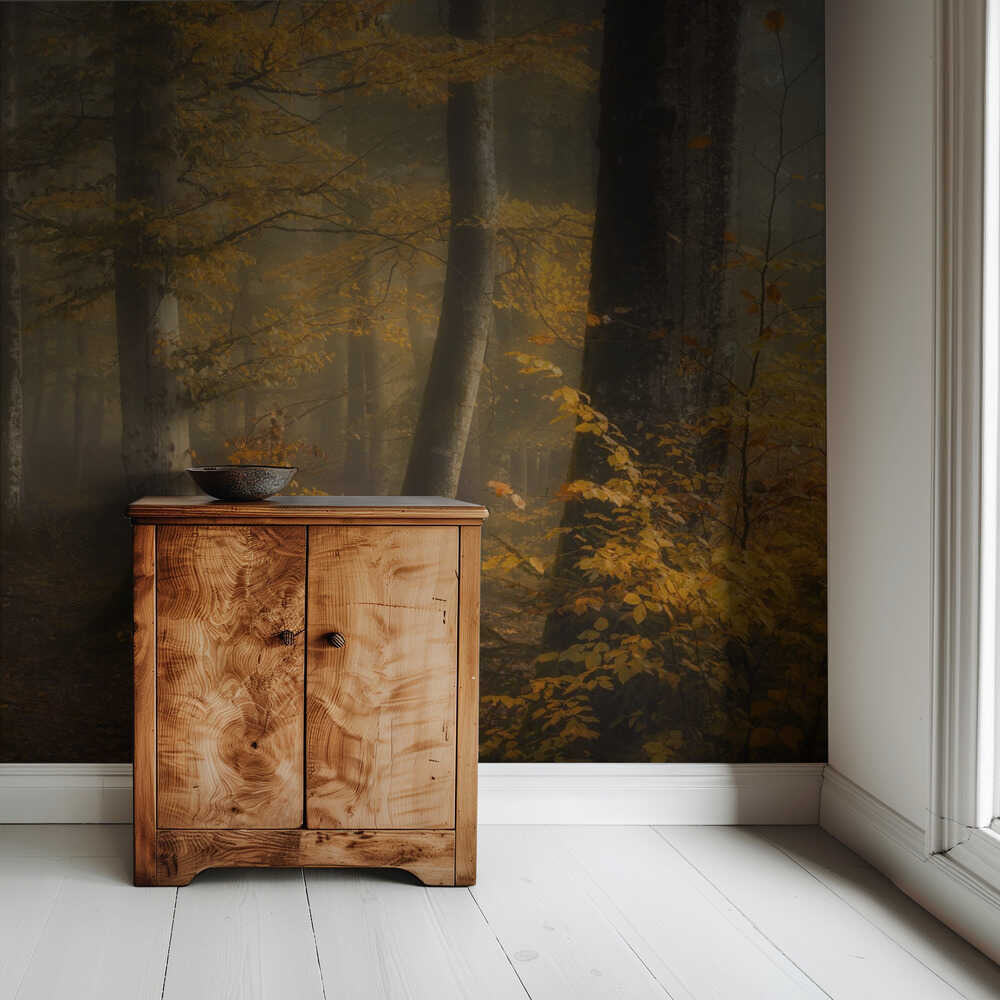 Forêt d'automne | Fond d'écran