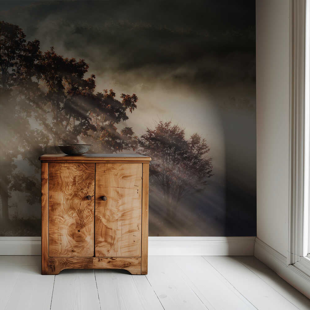 rayon de lumière | Fond d'écran