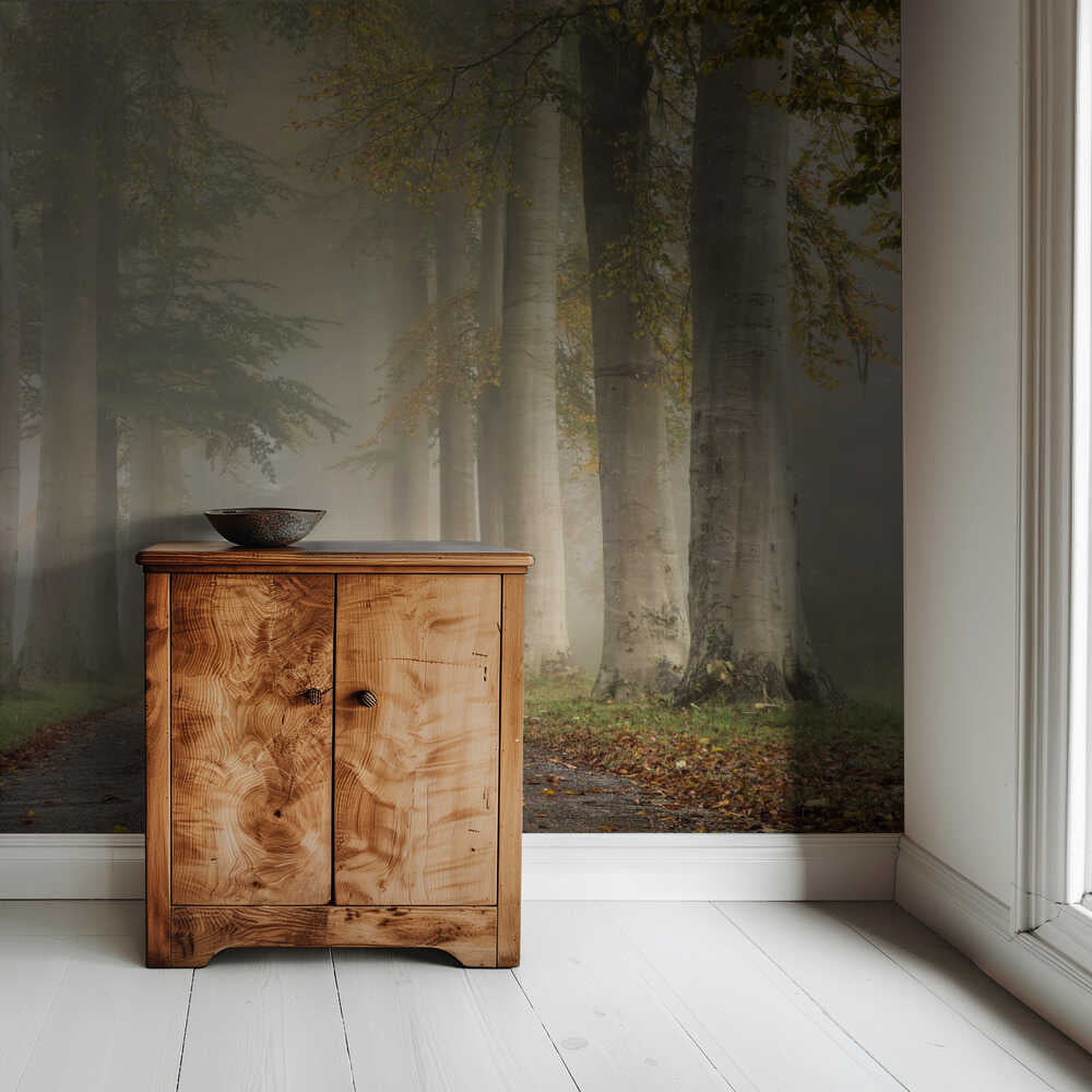 Hêtres dans la brume d'automne | Fond d'écran