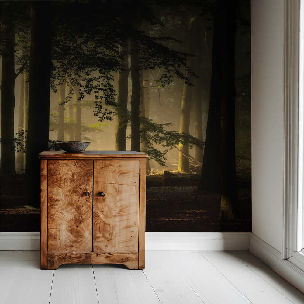 Hintergrundbeleuchtung | Hintergrundbild