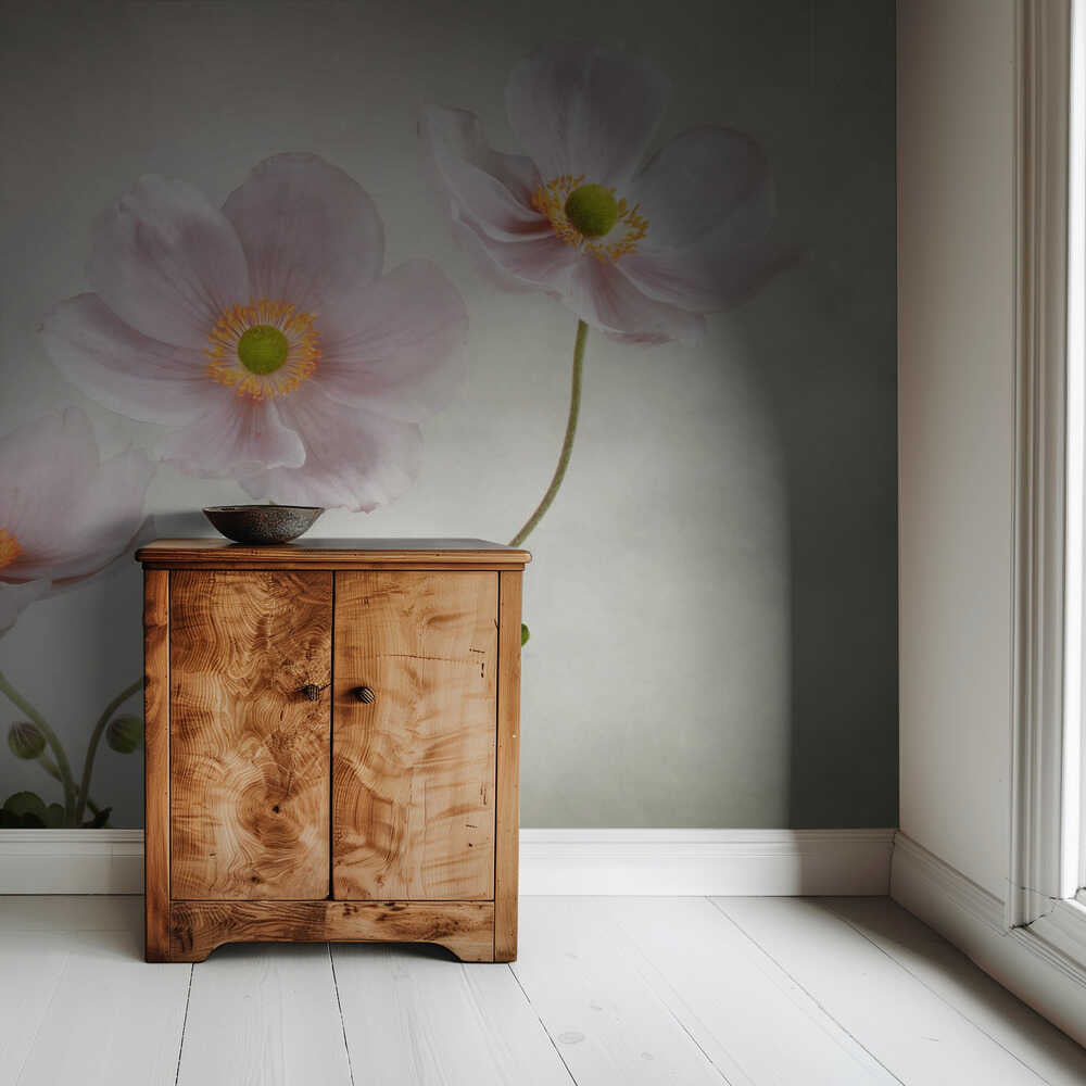 Anemonen | Hintergrundbild