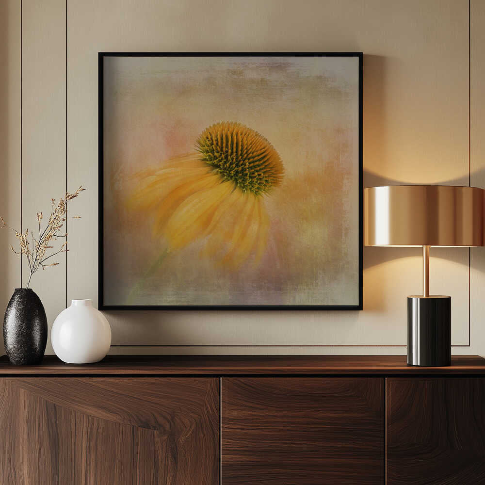 Echinacea in Gelb | Poster