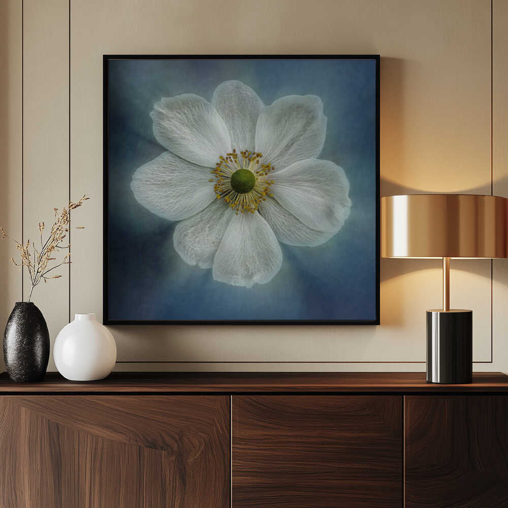 Prinzessin Anne-Mone | Poster