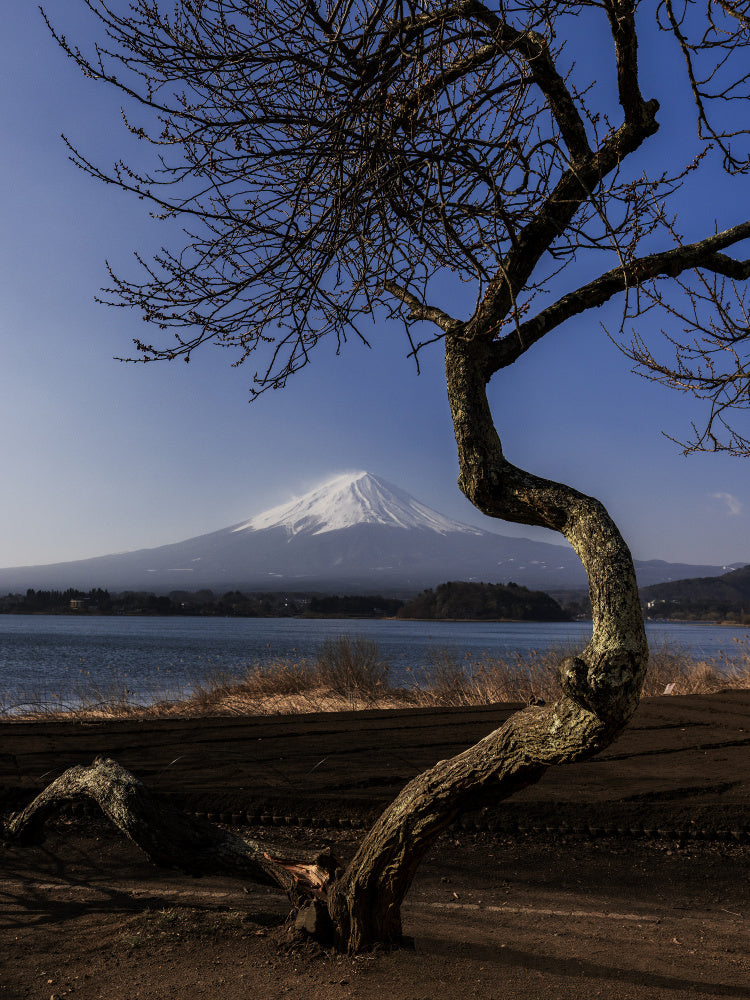 A Graceful Bow to Fuji | Poster