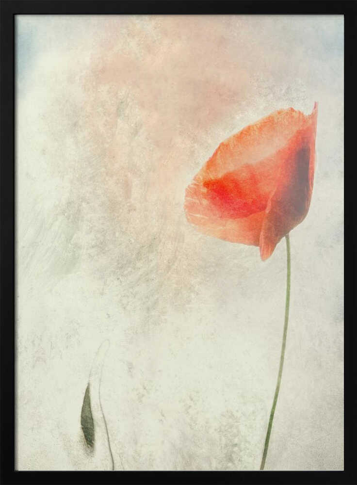 Wir sollten nicht schlafen... | Poster