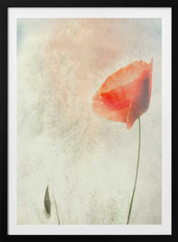 Wir sollten nicht schlafen... | Poster