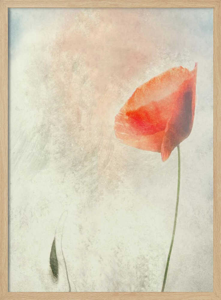 Wir sollten nicht schlafen... | Poster