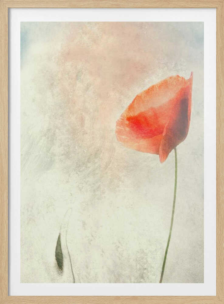 Wir sollten nicht schlafen... | Poster