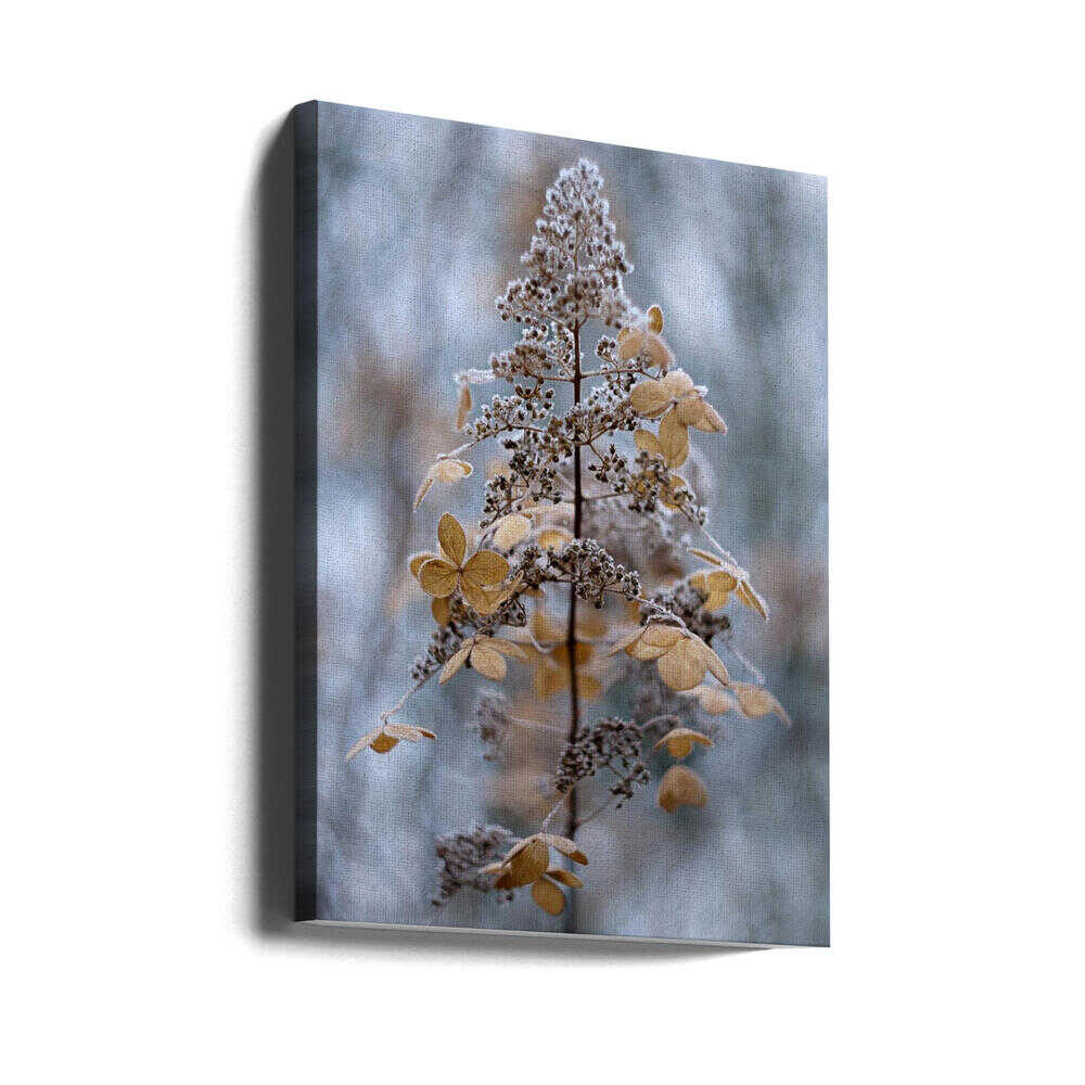 Winterspitze | Canvas