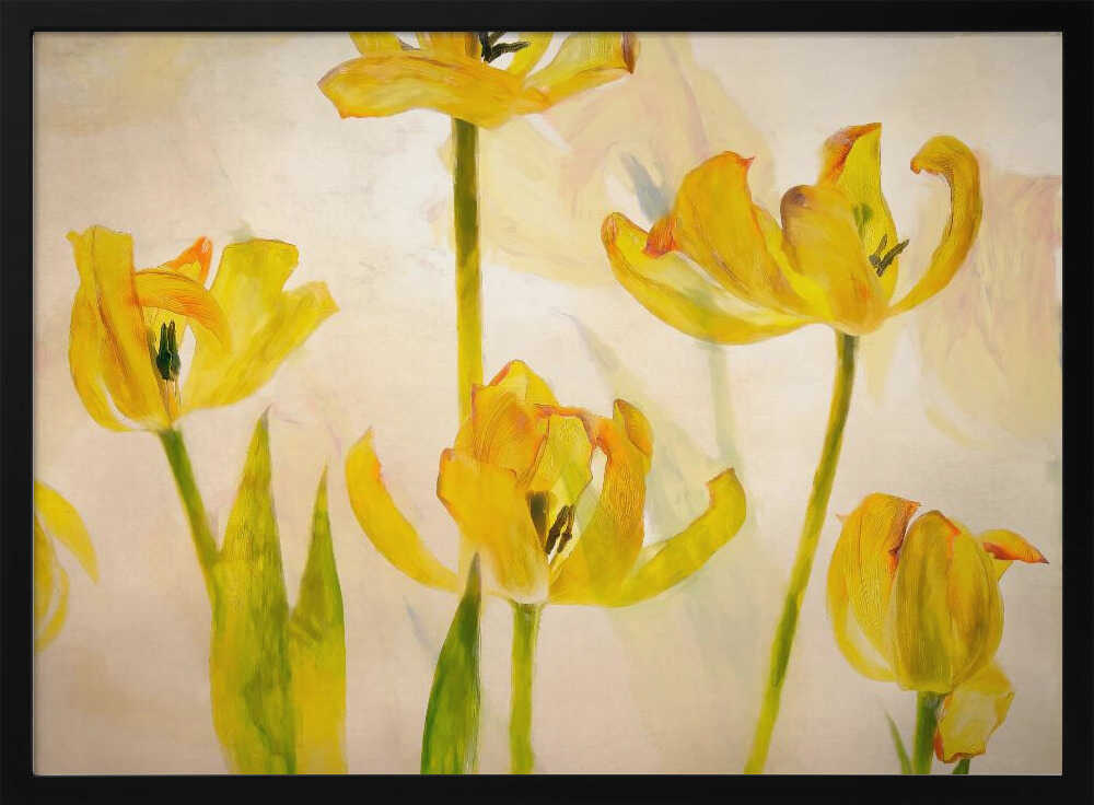 Blühende Tulpen | Poster