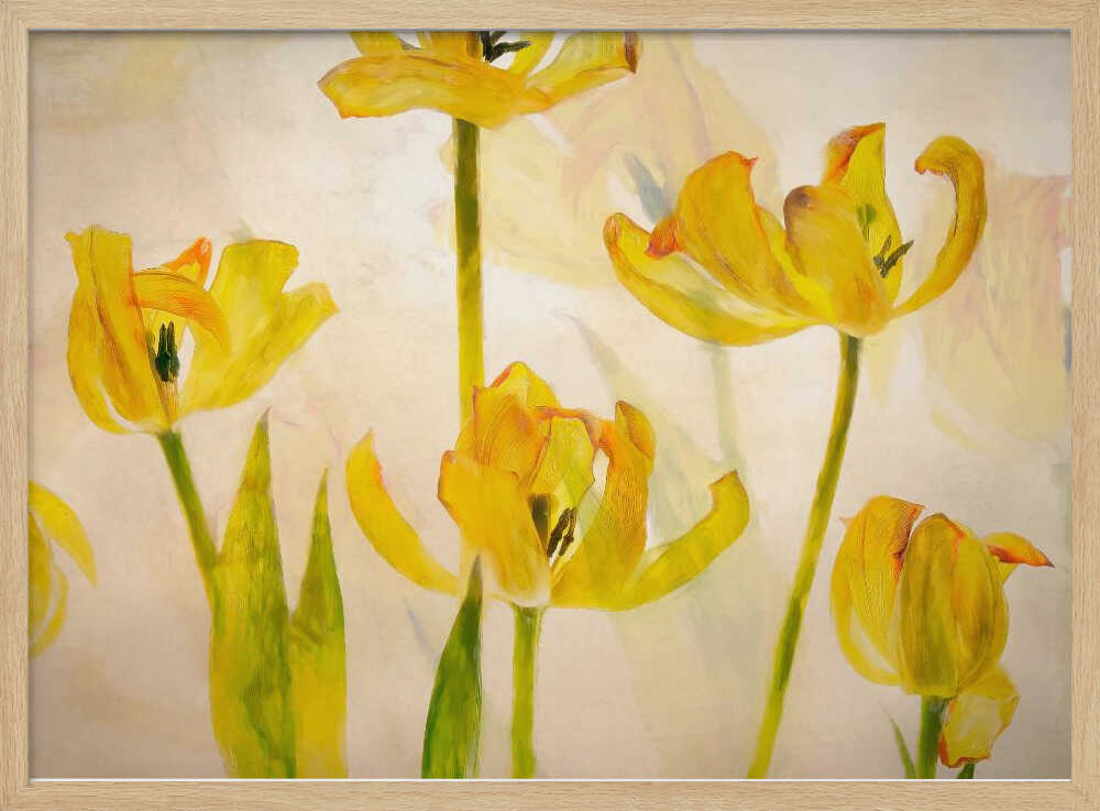 Blühende Tulpen | Poster