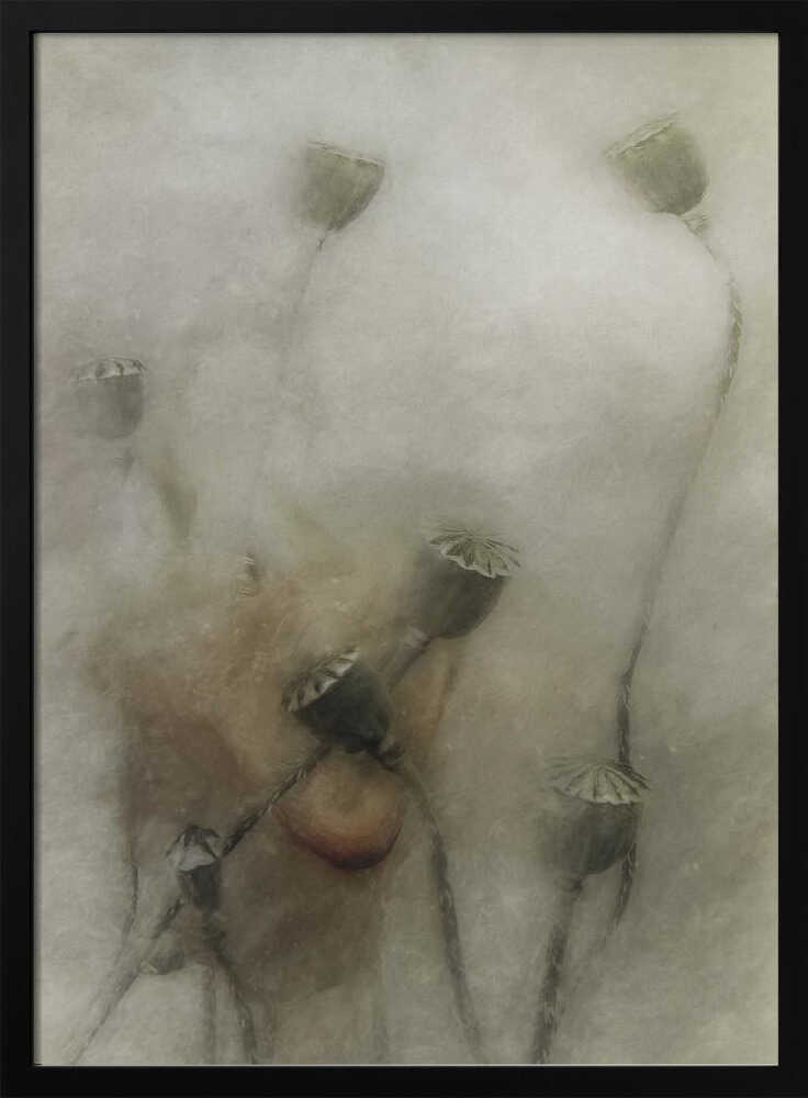 hopeful future | Poster