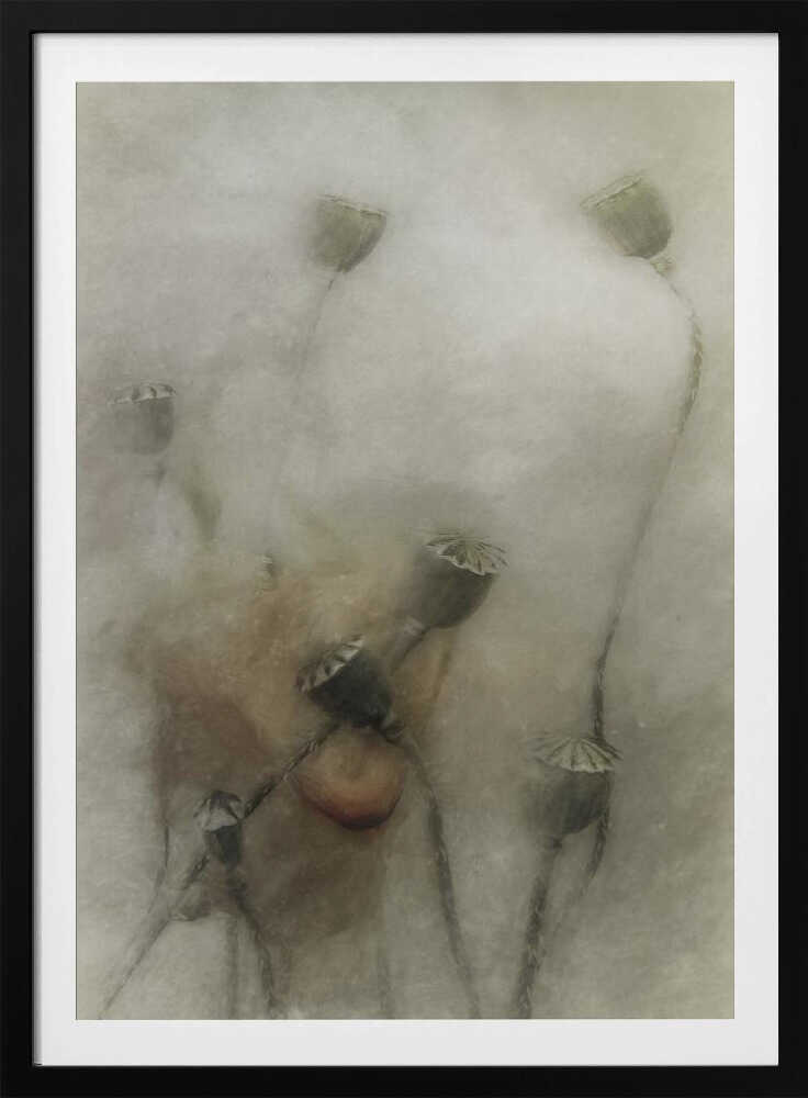 hopeful future | Poster