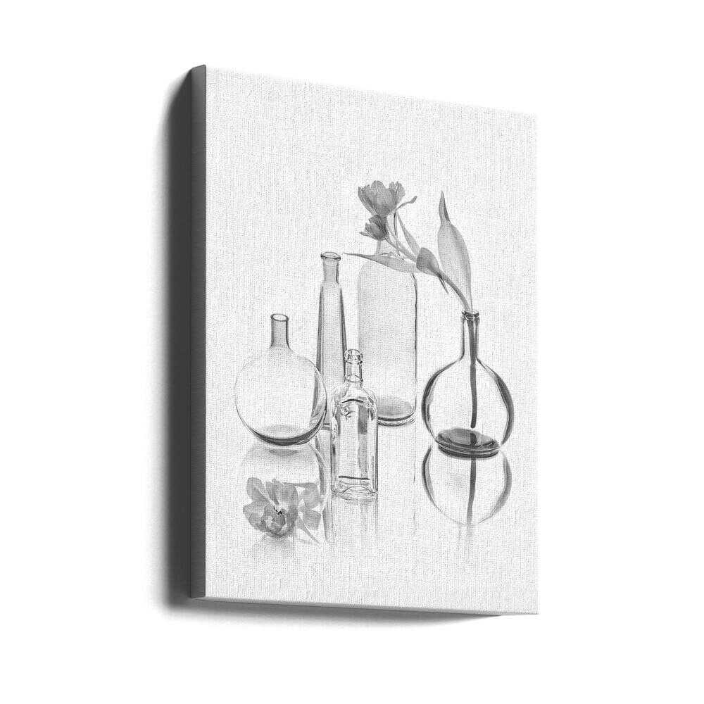 Transparenz | Leinwand