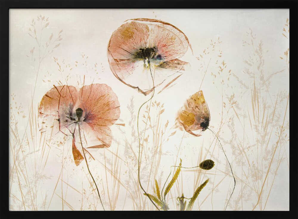 Light and soft | Poster