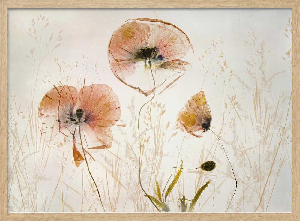 Light and soft | Poster