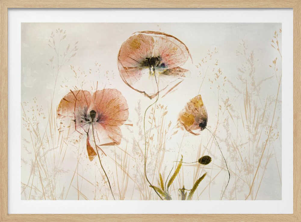 Light and soft | Poster