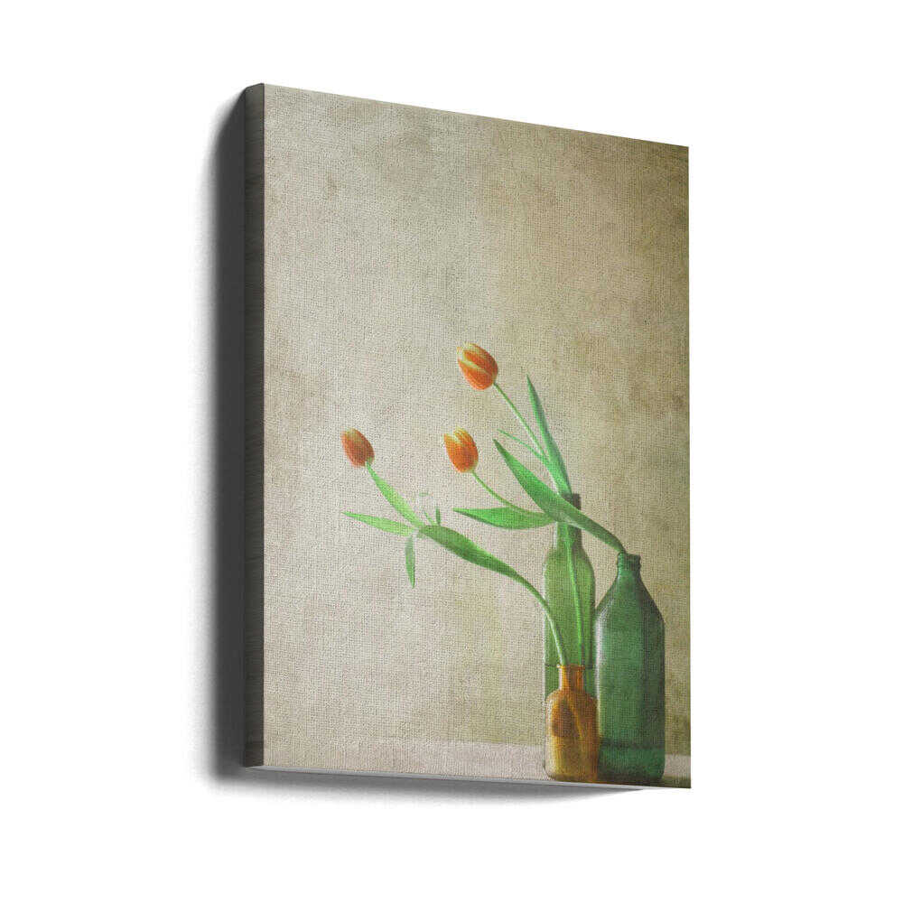Drei Tulpen | Leinwand