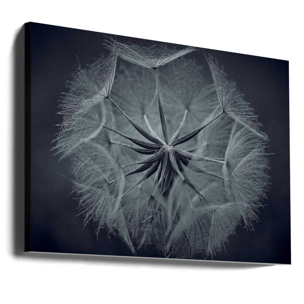 Epizentrum neuen Lebens | Leinwand