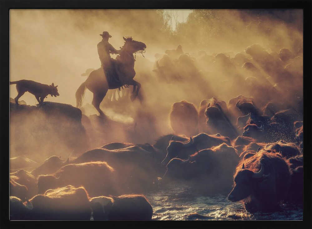 The buffalo shepherd | Poster