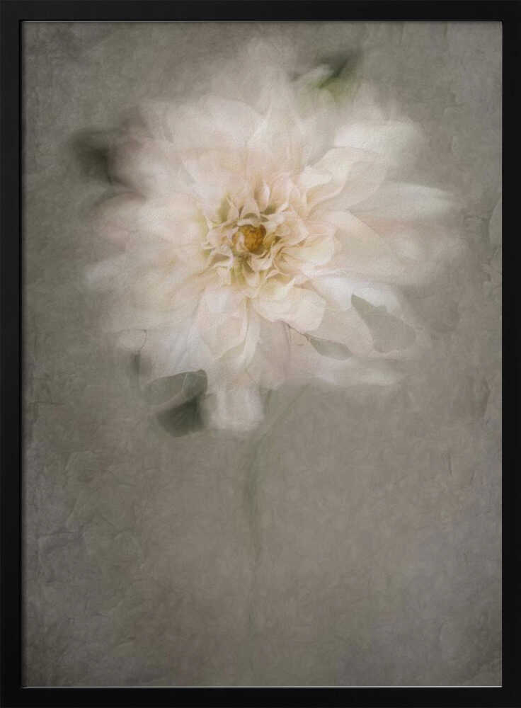 For the Bride | Poster