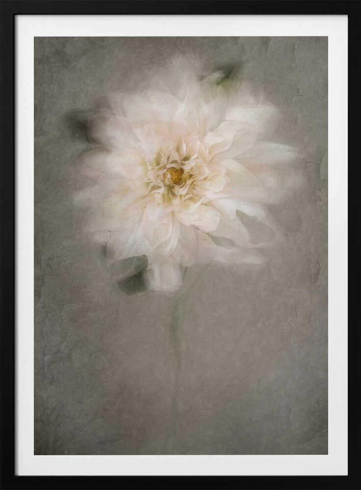 For the Bride | Poster