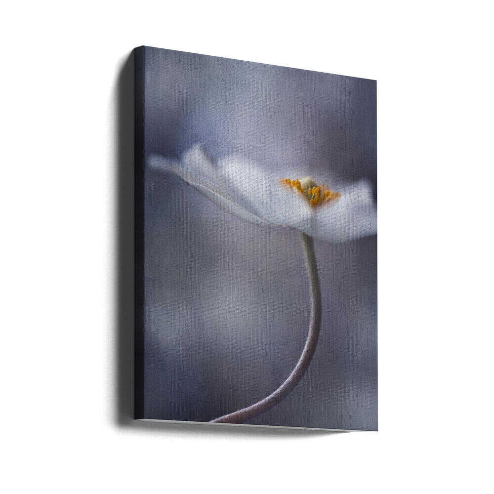 The Beauty Within | Canvas