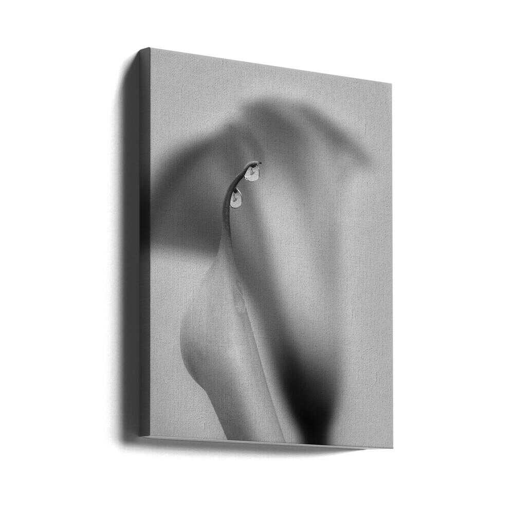 Zwei Tropfen | Leinwand