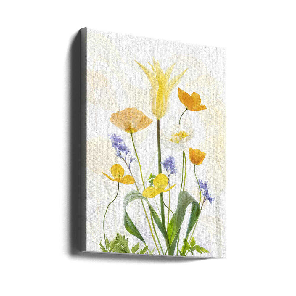 Frühlingsglanz | Leinwand