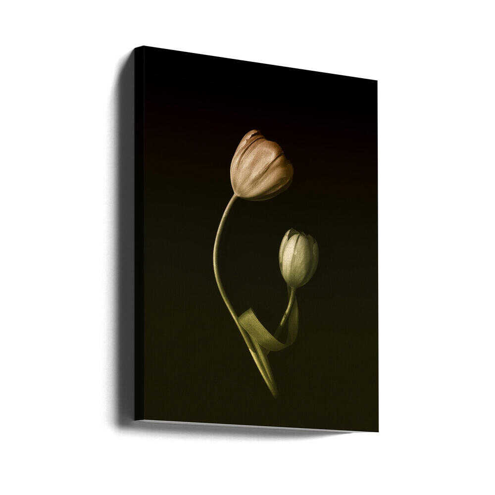 A Mother's Love | Canvas