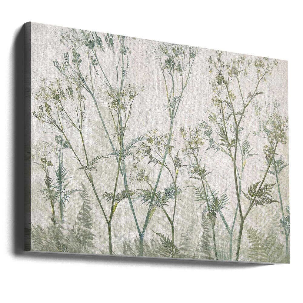 Cow parsley | Canvas